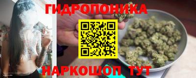 твердый Партизанск
