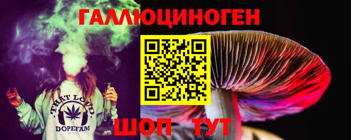 Псилоцибиновые грибы MAGIC MUSHROOMS Советск